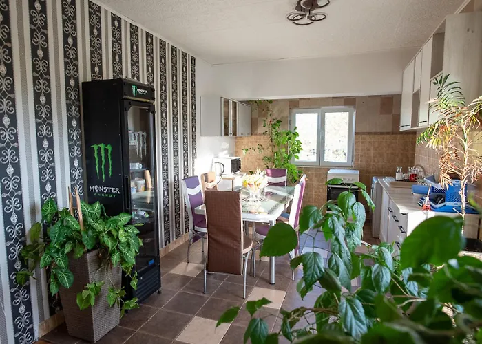 5 Bedrooms Luxury Bükreş