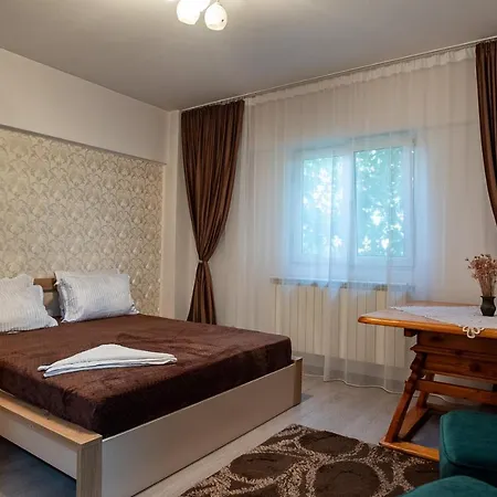 5 Bedrooms Luxury בית הארחה בוקרשט