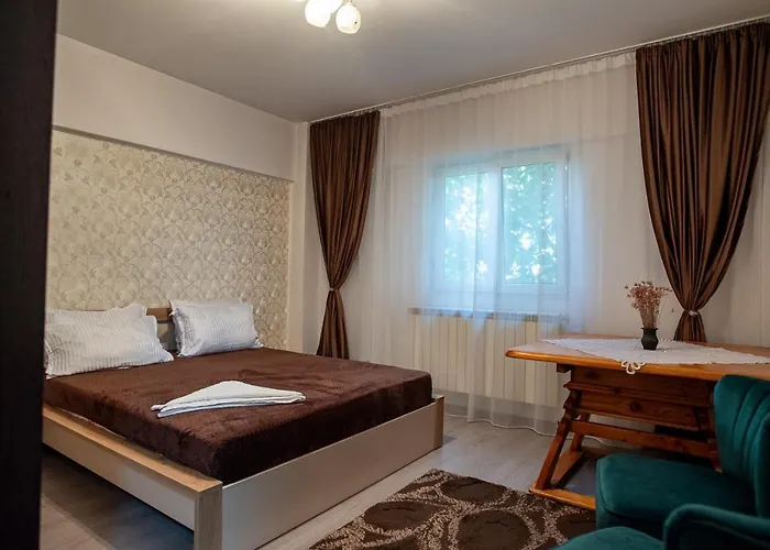 5 Bedrooms Luxury 招待所 布加勒斯特
