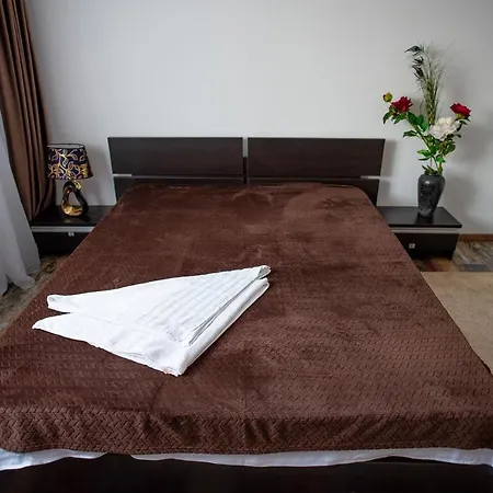 Pensiune 5 Bedrooms Luxury Bucureşti