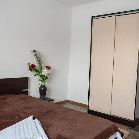 5 Bedrooms Luxury Bucureşti